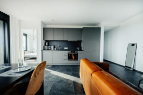 Luxury 1 BR Apt w Spa, Fitness & Swimming Pool - Zenith Towers